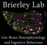 Brierley Lab Logo